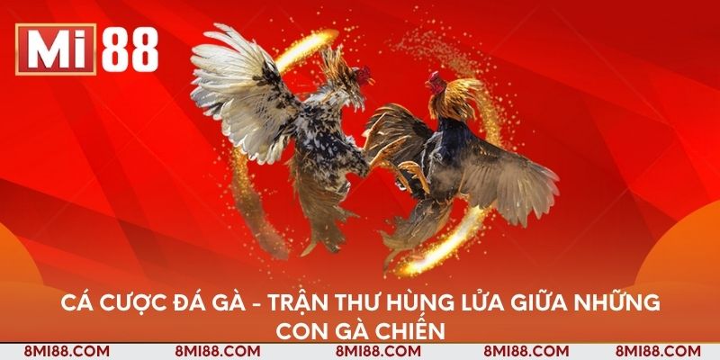 ca-cuoc-da-ga-tran-thu-hung-lua-giua-nhung-con-ga-chien