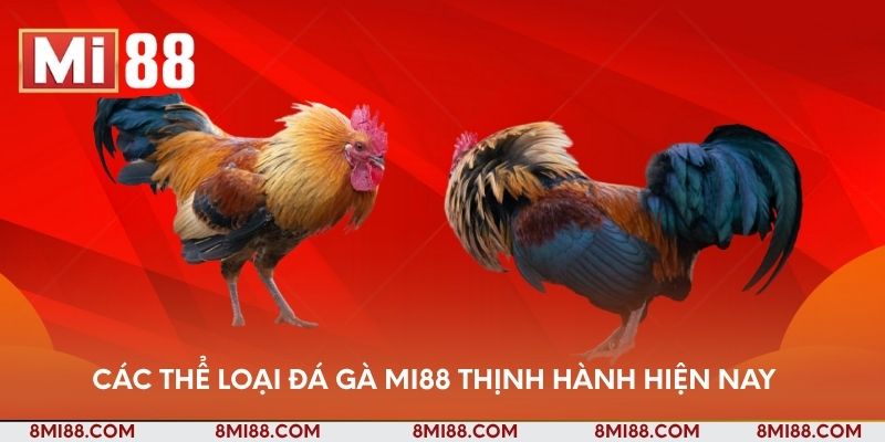 Các thể loại đá gà Nhà cái Mi88 thịnh hành hiện nay