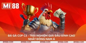 da-ga-cup-c3-trai-nghiem-giai-dau-dinh-cao-nhat-dong-nam-a