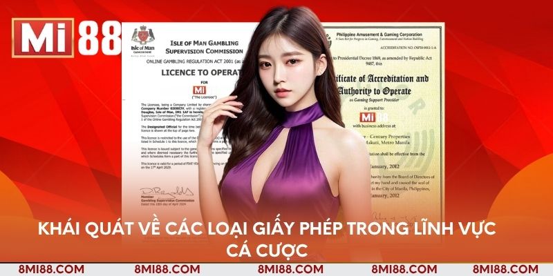 Khái quát về các loại giấy phép trong lĩnh vực cá cược