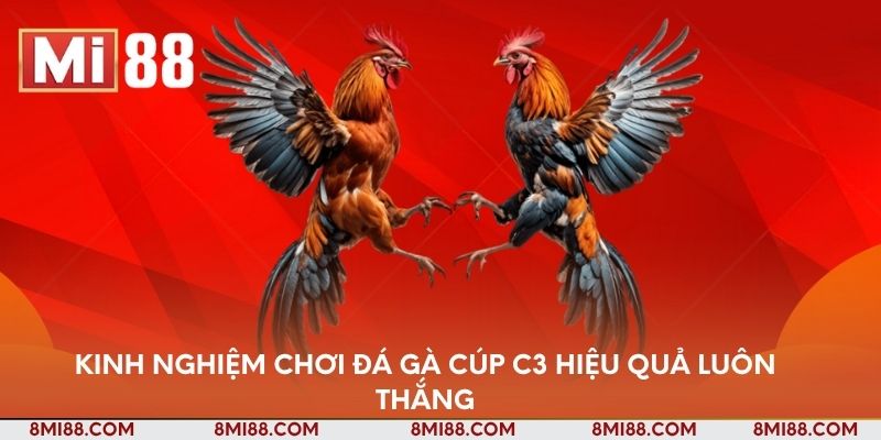 Kinh nghiệm chơi đá gà Cúp C3 hiệu quả luôn thắng