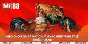meo-chon-ga-da-hay-chuan-xac-giup-tang-ty-le-chien-thang