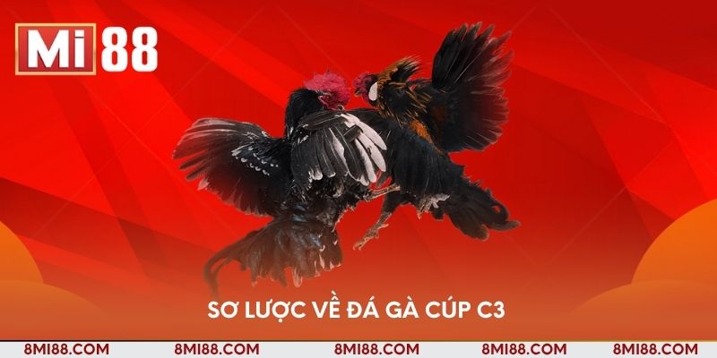 Sơ lược về đá gà Cúp C3