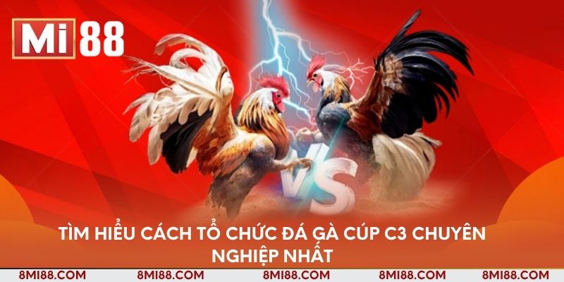 Tìm hiểu cách tổ chức đá gà Cúp C3 chuyên nghiệp nhất