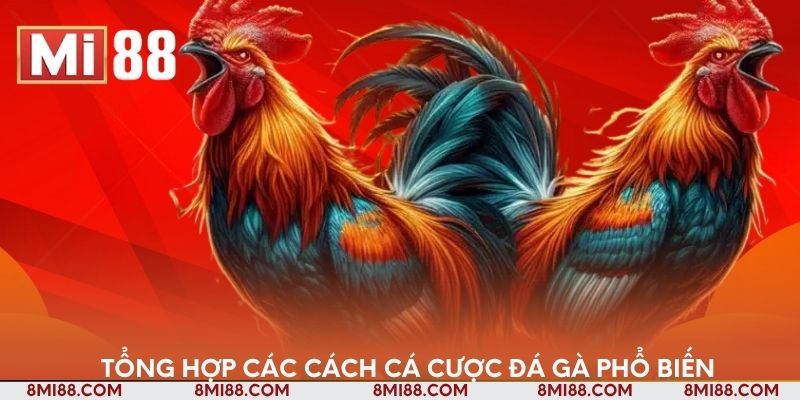 Tổng hợp các cách cá cược đá gà phổ biến