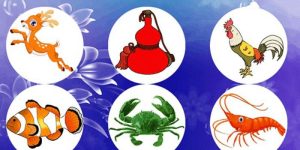 Bầu Cua Là Gì? Giải Mã Trò Chơi Dân Gian Hấp Dẫn
