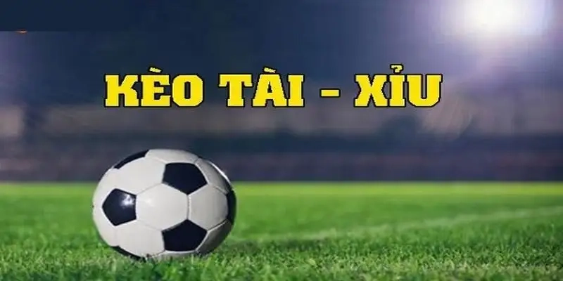 Thông tin cơ bản nhất về kèo tài xỉu 99ok