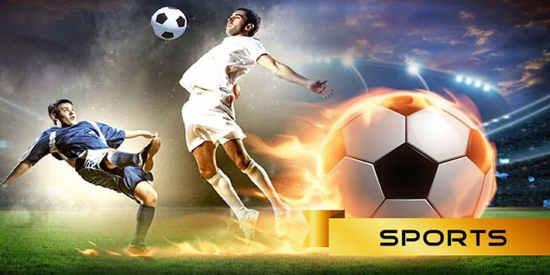 Bí mật các sảnh thể thao 13WIN mà dân cá cược mê mẩn
